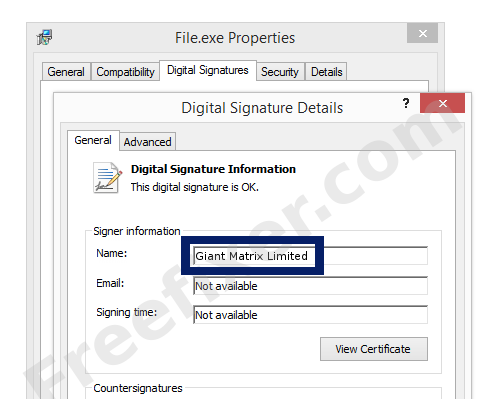 Screenshot of the Giant Matrix Limited certificate